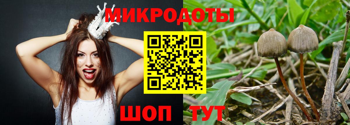 Галлюциногенные грибы Magic Shrooms Серов