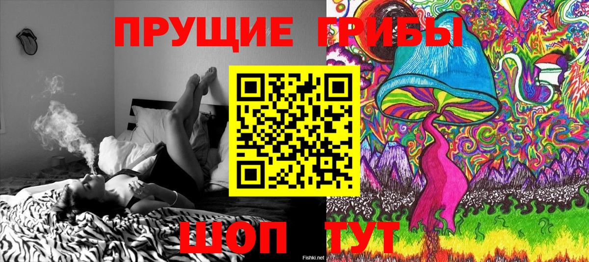 Серов  Галлюциногенные грибы Psilocybe  Галлюциногенные грибы MAGIC MUSHROOMS  Вход с VPN 